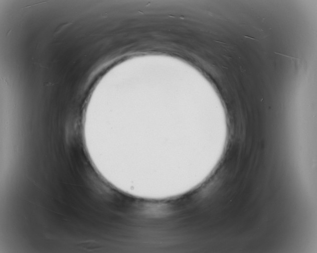 X0000085281498200703301904