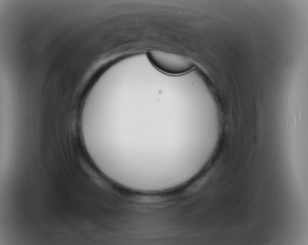 X0000085281499200703301904