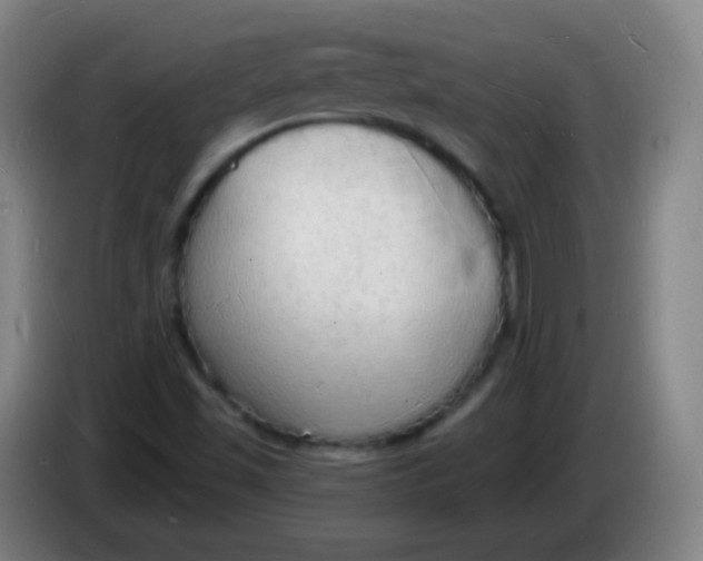 X0000085281501200703301904