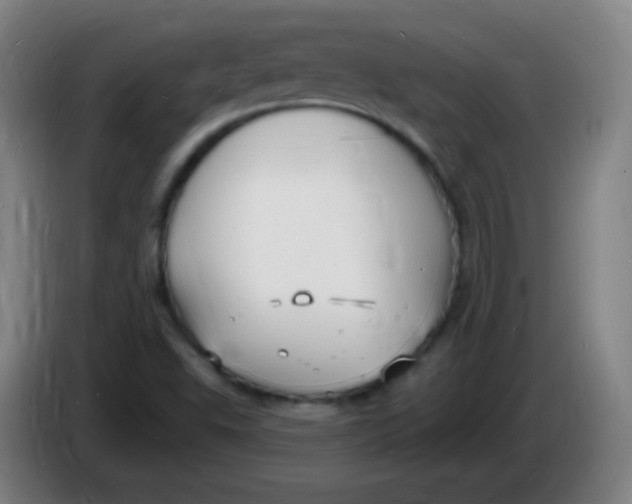 X0000085281503200703301904