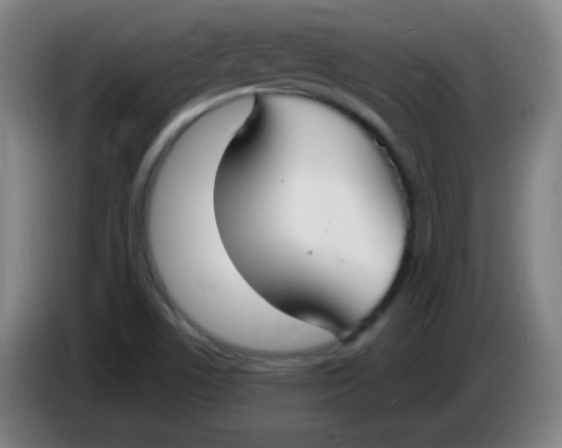 X0000085281506200703301904