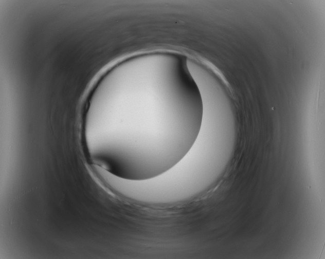 X0000085281508200703301904