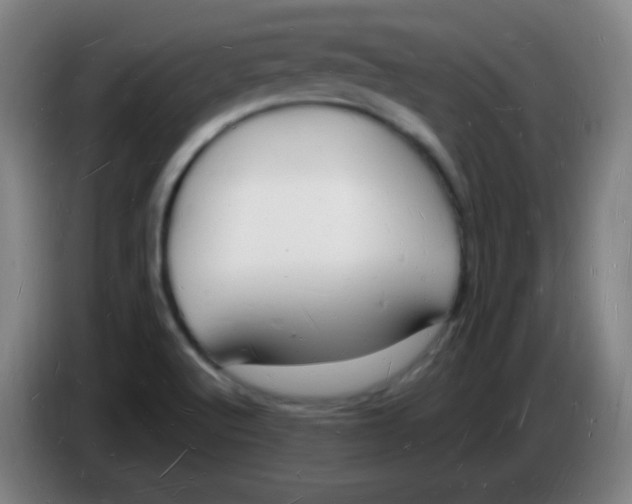 X0000085281512200703301905