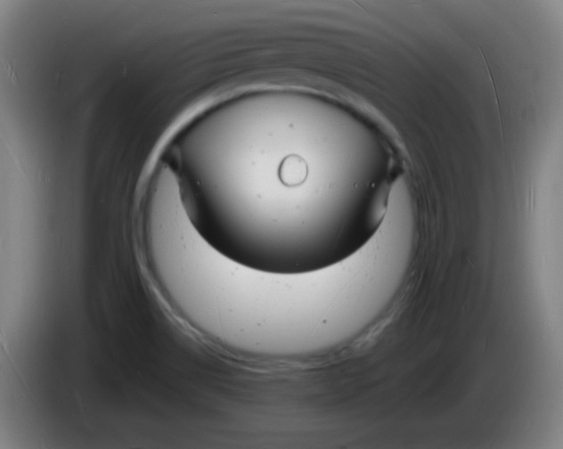 X0000085281514200703301905