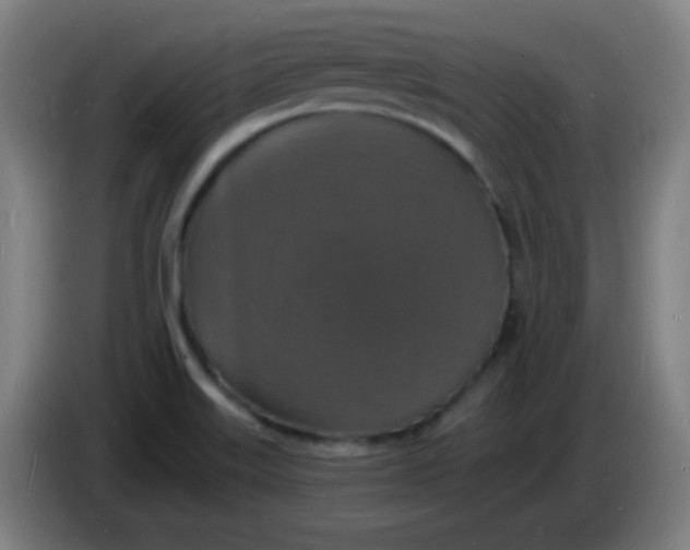 X0000085281515200703301905