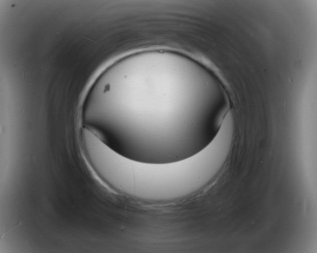 X0000085281516200703301905
