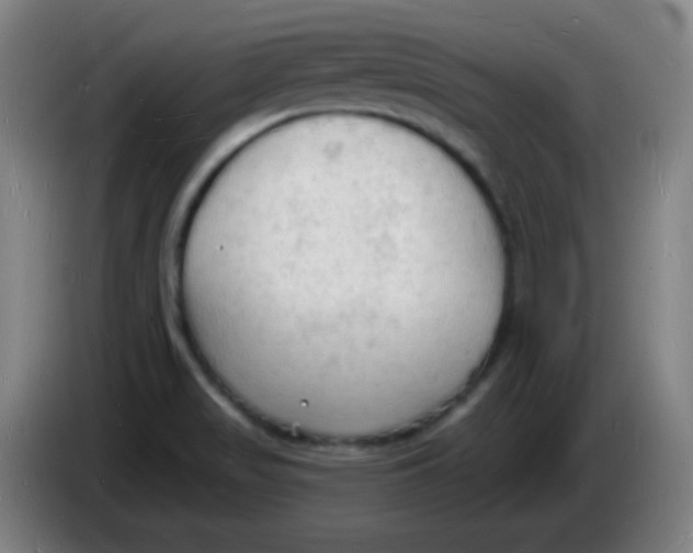 X0000085281517200703301905