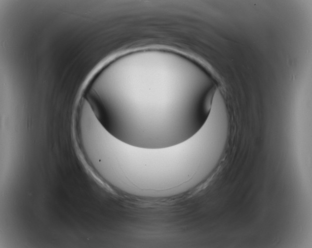 X0000085281518200703301905