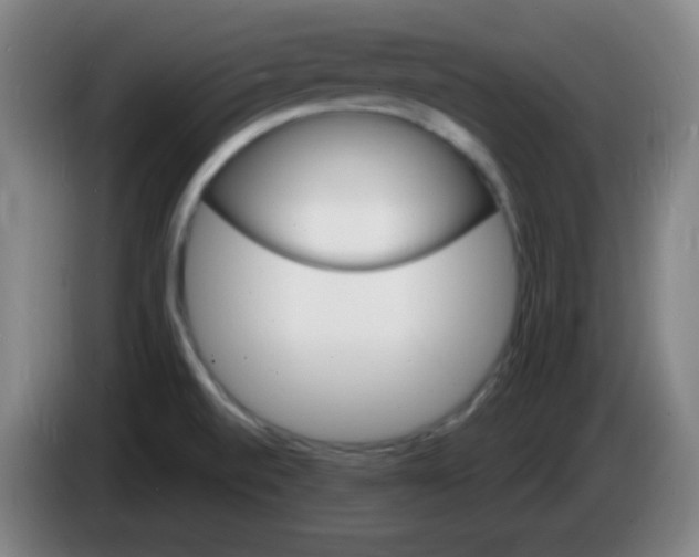 X0000085281520200703301905
