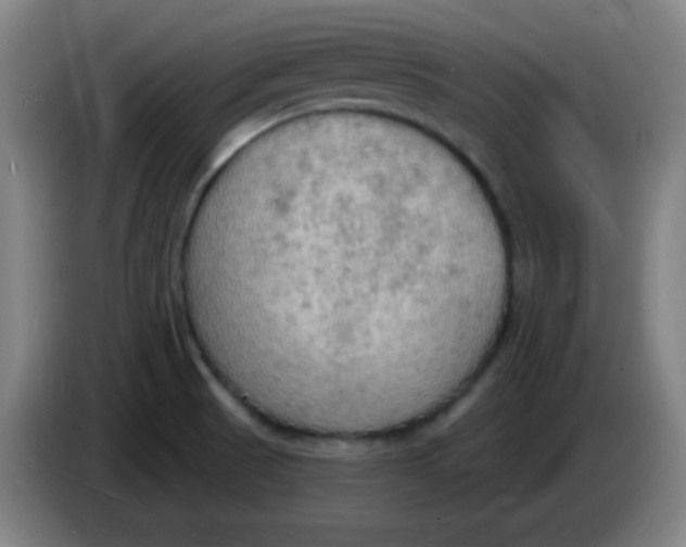 X0000085281521200703301905