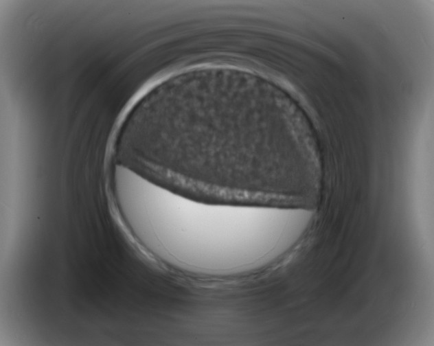 X0000085281522200703301905