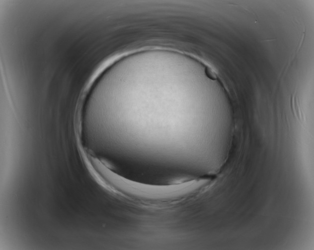 X0000085281523200703301905