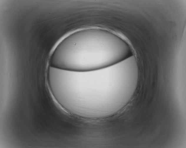 X0000085281524200703301905