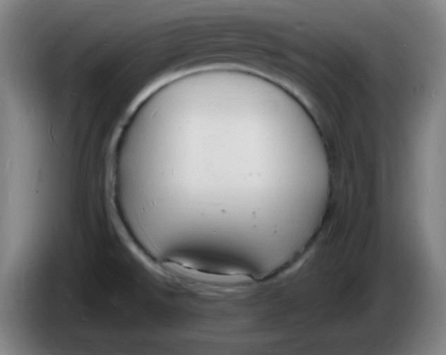 X0000085281526200703301905