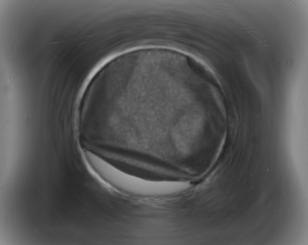 X0000085281527200703301905