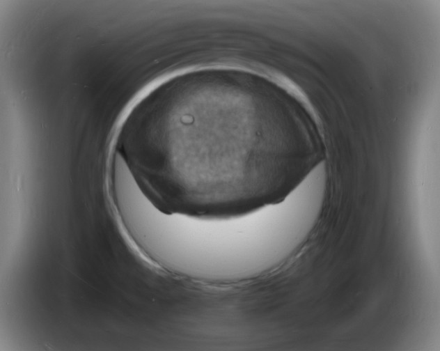 X0000085281528200703301905