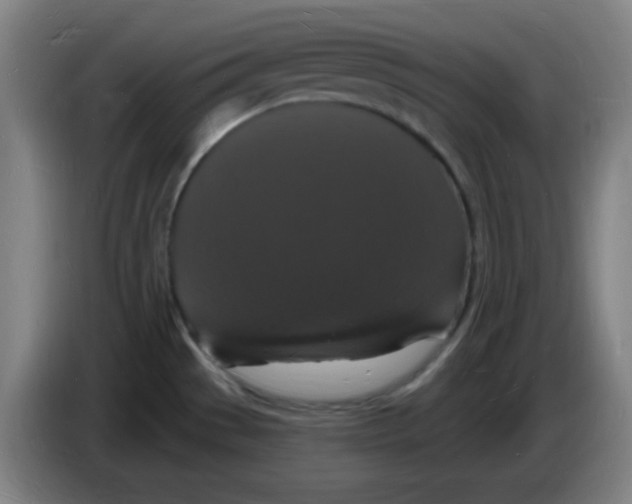 X0000085281529200703301905