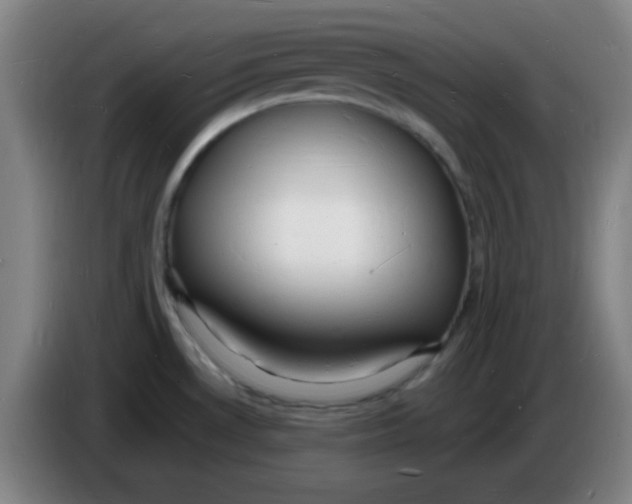 X0000085281530200703301905