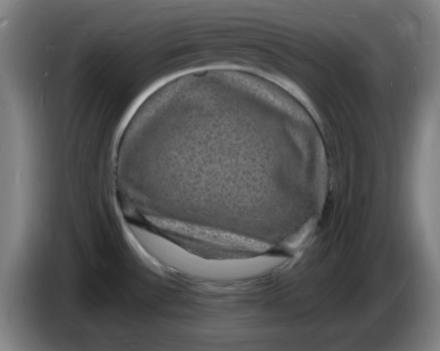 X0000085281532200703301905