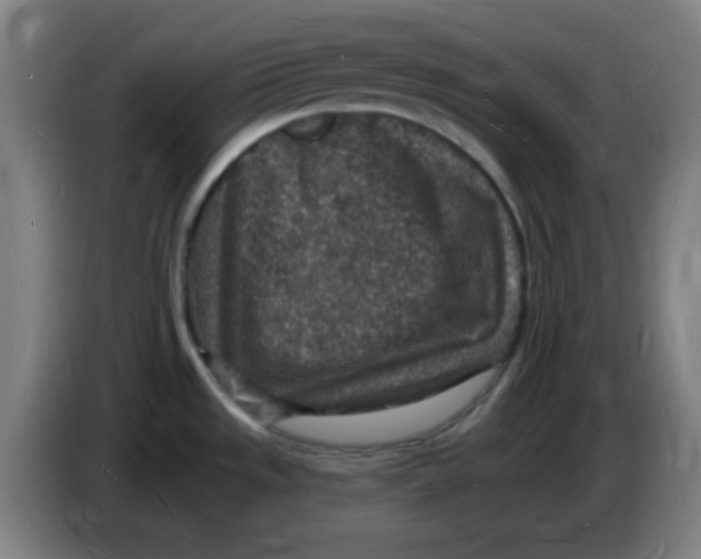 X0000085281533200703301905
