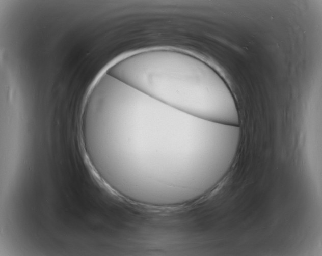 X0000085281534200703301905