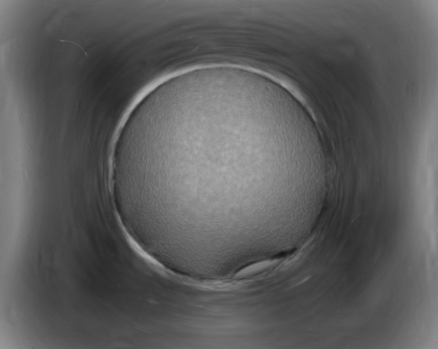 X0000085281535200703301905