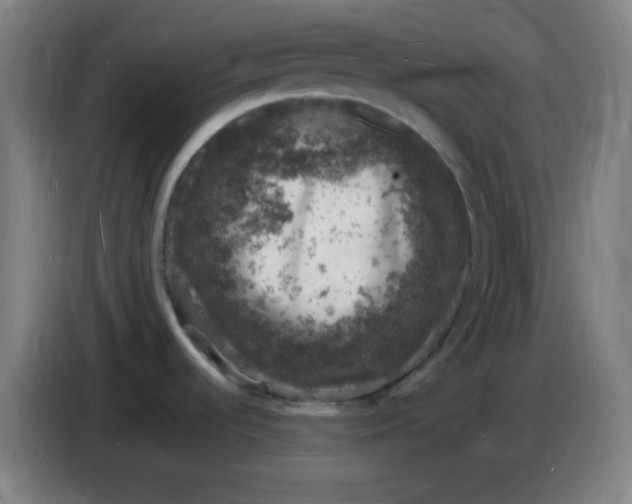 X0000085281536200703301905