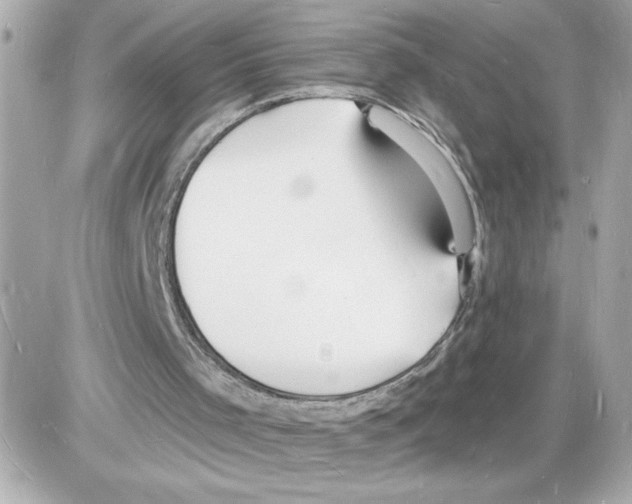 X0000085280001200704092218