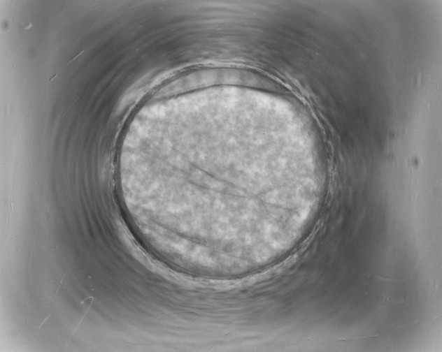 X0000085280002200704092218