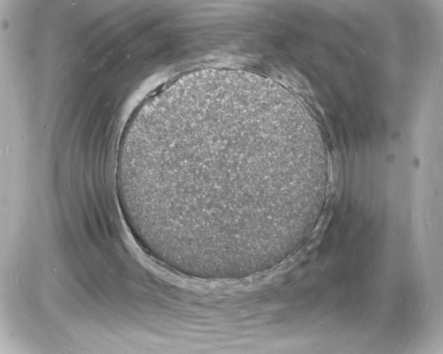 X0000085280003200704092218