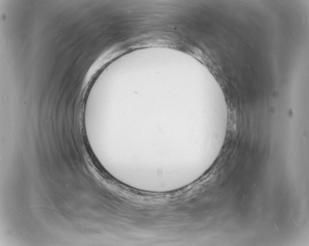 X0000085280004200704092218