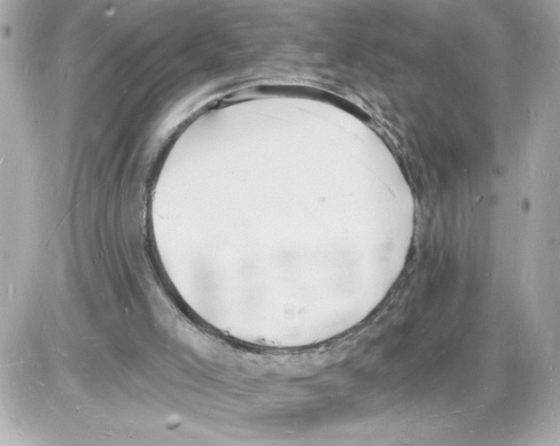 X0000085280005200704092218