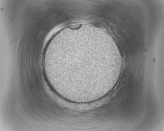 X0000085280006200704092218