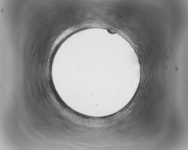 X0000085280008200704092218