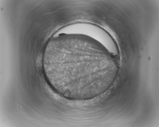 X0000085280009200704092218