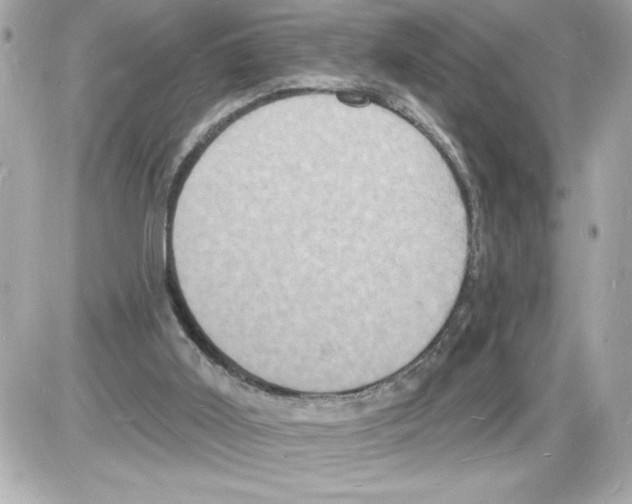 X0000085280011200704092218