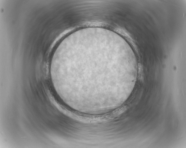 X0000085280012200704092218