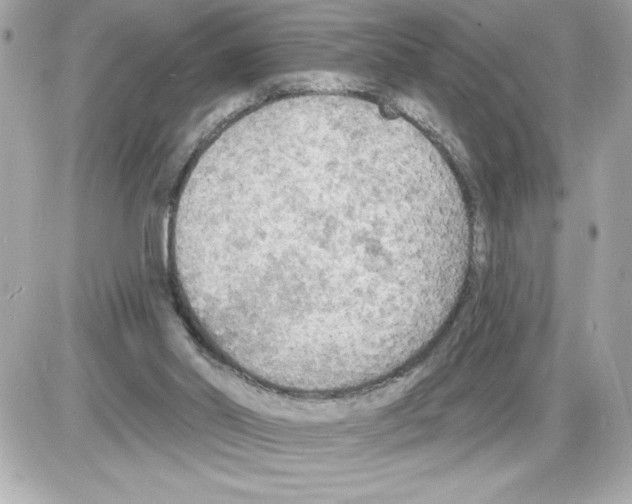 X0000085280014200704092218