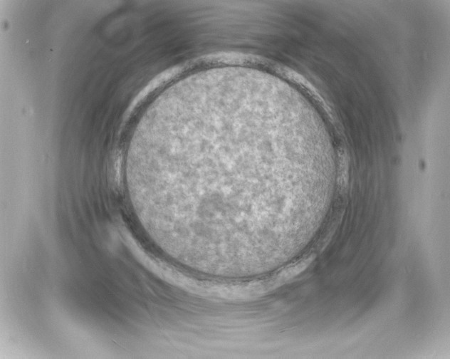 X0000085280016200704092218