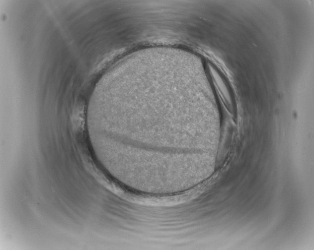 X0000085280017200704092218