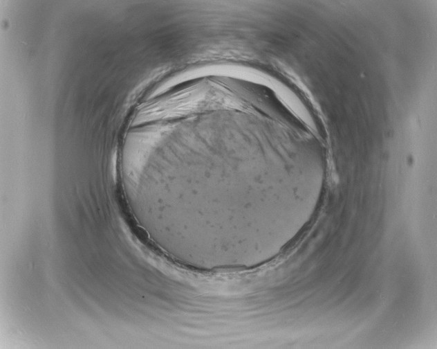 X0000085280019200704092218