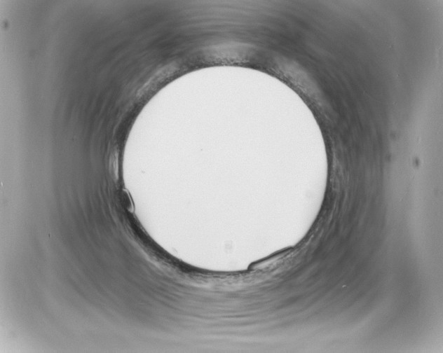 X0000085280021200704092218