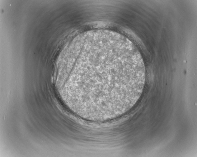 X0000085280022200704092218