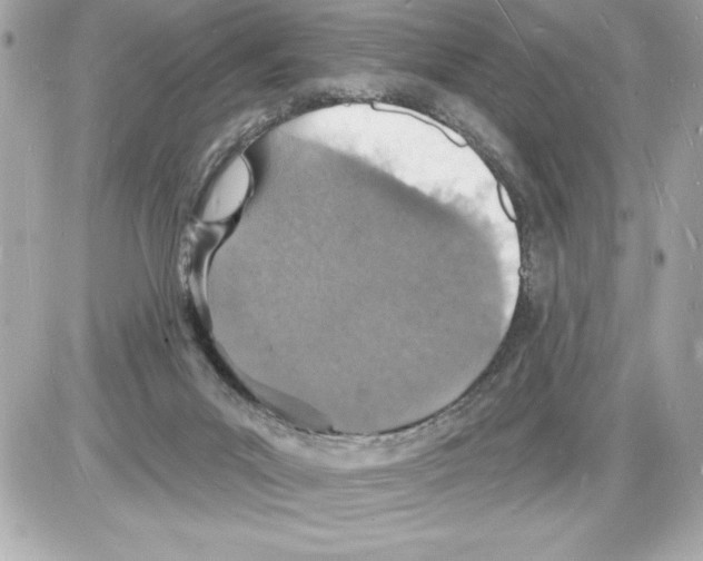 X0000085280023200704092218