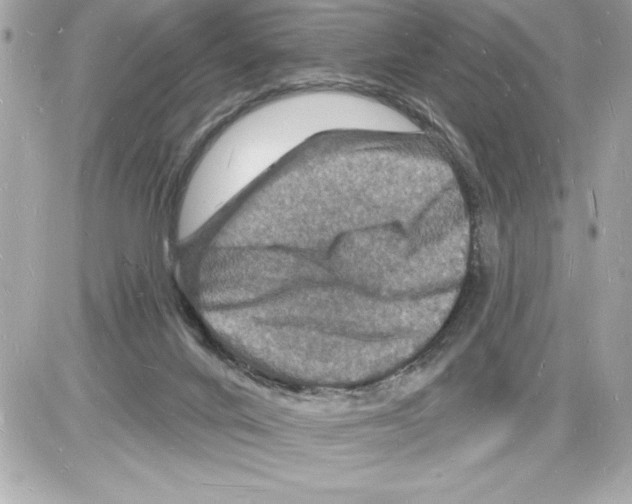 X0000085280024200704092218