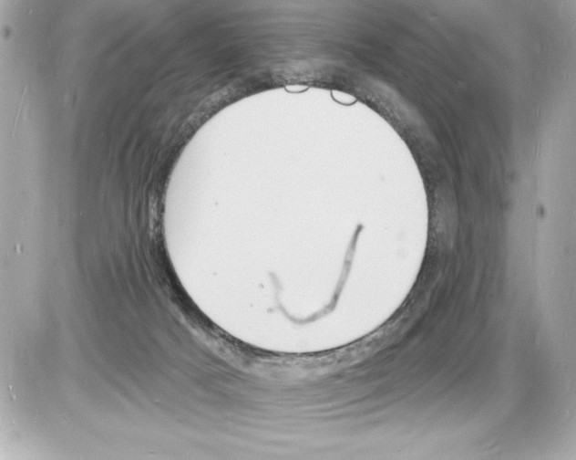 X0000085280025200704092218