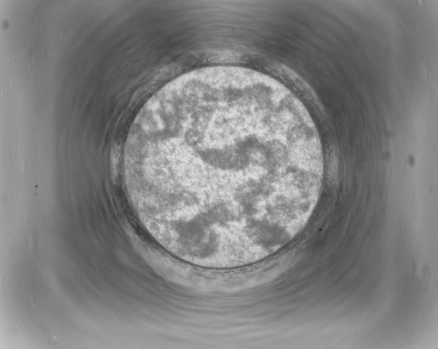 X0000085280026200704092218