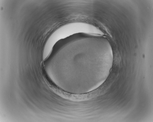 X0000085280027200704092218