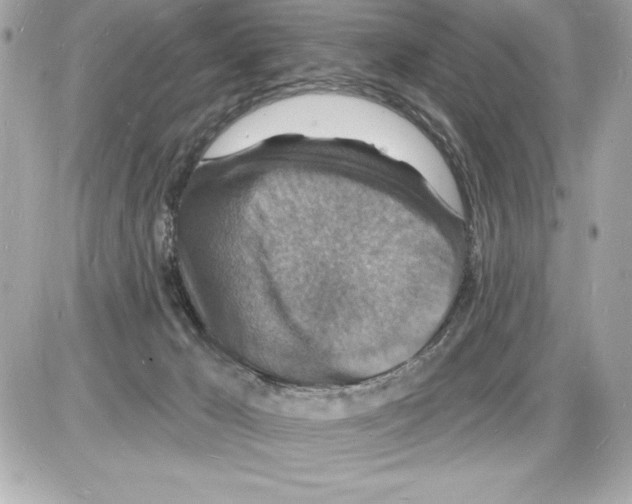 X0000085280029200704092218