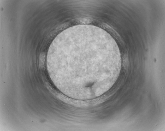 X0000085280030200704092218